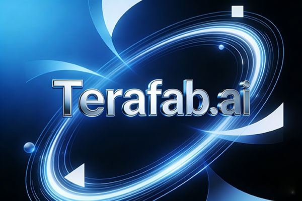 重磅！中国域名投资人将 Terafab.ai 出售给埃隆・马斯克！