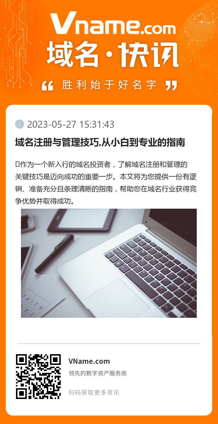 域名注册与管理技巧,从小白到专业的指南