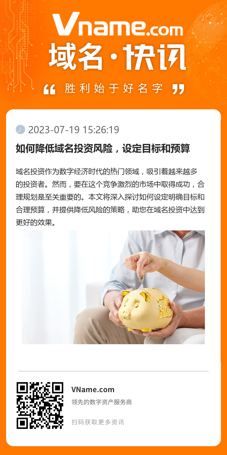 如何降低域名投资风险,设定目标和预算