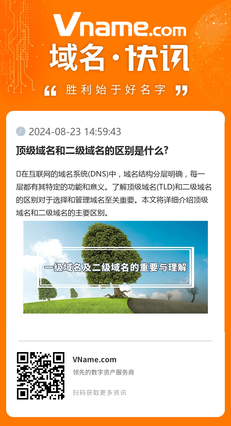 顶级域名和二级域名的区别是什么?